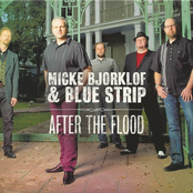 micke bjorklof & blue strip