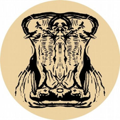 Chineurs de House: Chasing da Hippo - Single