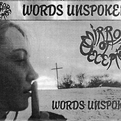 Words Unspoken by Mirror Of Deception