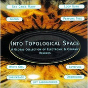 Into Topological Space