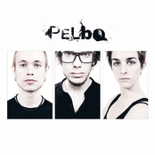 The Noise by Pelbo