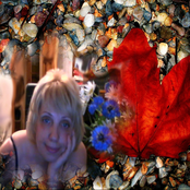 Целует осень