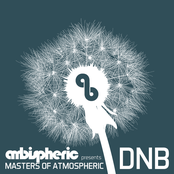 Masters Of Atmospheric Drum And Bass