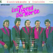 Los Tigres del Norte: Contrabando Y Traicion