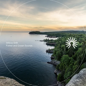 Forest and Ocean Sounds