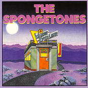 Talk To The Girl by The Spongetones