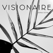 Visionaire