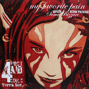 My Favourite Pain With Some Bizzare Remix Package