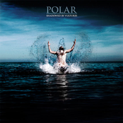 Our Legacy by Polar