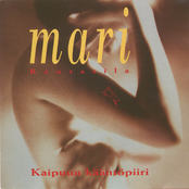 Kaipuun kääntöpiiri