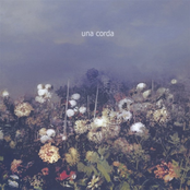 Note To The Hurrying Man