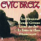 Evit Breiz Vol. 1