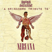 A Grindcore Tribute To Nirvana