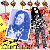 Follow Your Heart by David Lindley