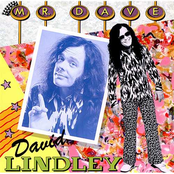 Hurt So Bad by David Lindley