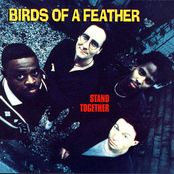 Birds Of A Feather: Stand Together