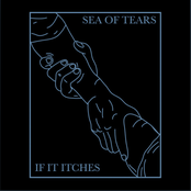Sea Of Tears