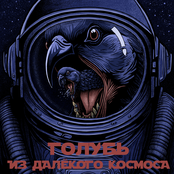 ГОЛУБЬ ИЗ ДАЛЁКОГО КОСМОСА