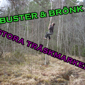 Stora träskmarker