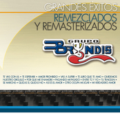 Bryndis: Grandes Éxitos Remezclados Y Masterizados