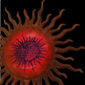 Songs of the Collective Age