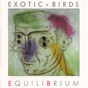 This Feeling by Exotic Birds