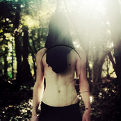 Black Sea of Trees LP