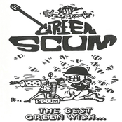 The Best Green Wish...