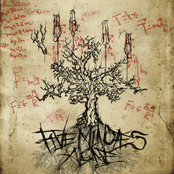 Интерпретация Закона (Single)