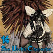 Sea Urchin Character