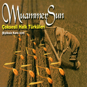 Çok Sesli Halk Türküleri