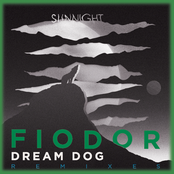 Sunnight (Remixes)