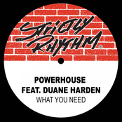 Powerhouse: What You Need (feat. Duane Harden)