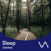 Pinewood Forest - Sollos Sleep Soundscape (Pt. 1 - 15)