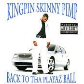 Shake Ya Money Maker by Kingpin Skinny Pimp