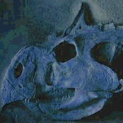 Protoceratops
