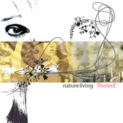 Between Delight and Sorrow - 今週のシングル