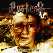 Fury of Destiny