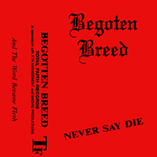 Never Say Die