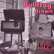 Somebody Turn On The Heat by Bullfrog Brown