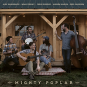 Mighty Poplar: Grey Eagle / A Distant Land to Roam