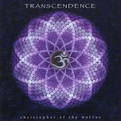 Transcendence