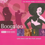 The Rough Guide To Boogaloo