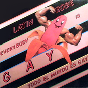 Everybody Is Gay