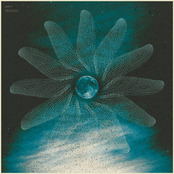 Fragile (Bonus Track Version)