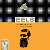 Tremendous Dynamite by Eels