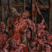 yet unknown 4-Way Split