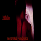 Hide