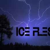 ice flesh