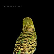 Andrew Bird - Armchair Apocrypha Artwork